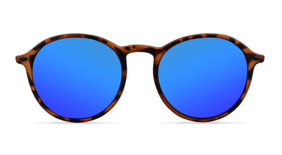 Tortoise Blue Reflective Rounds